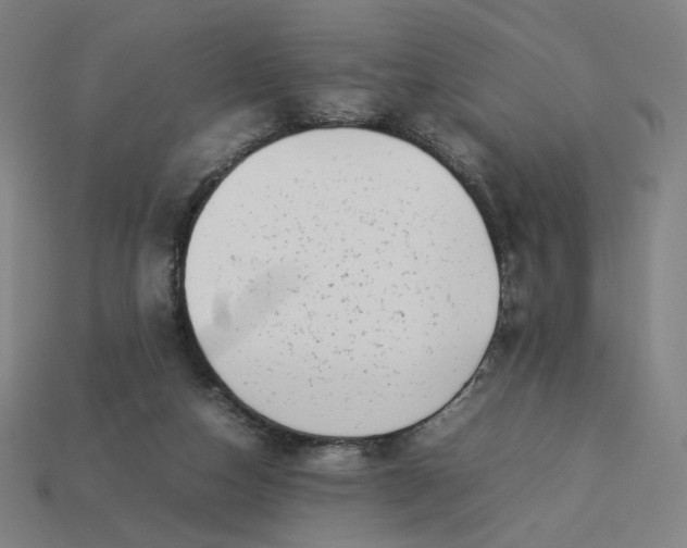 X0000113370162200910061107