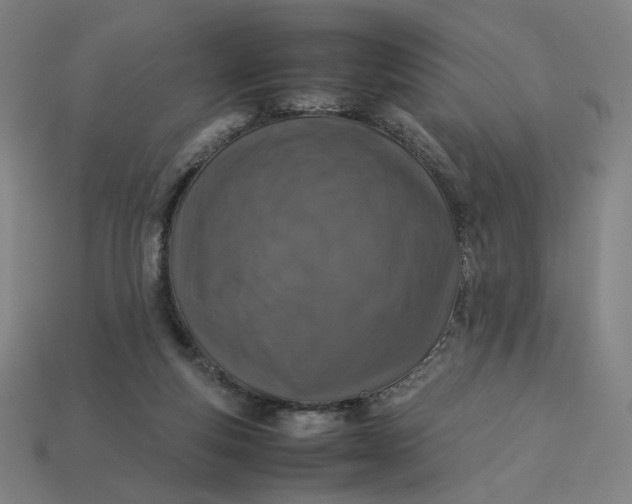 X0000113370163200910061107