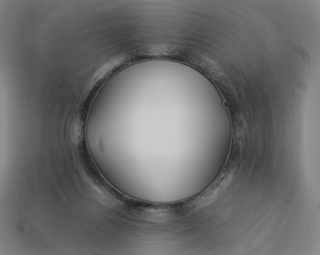 X0000113370164200910061107