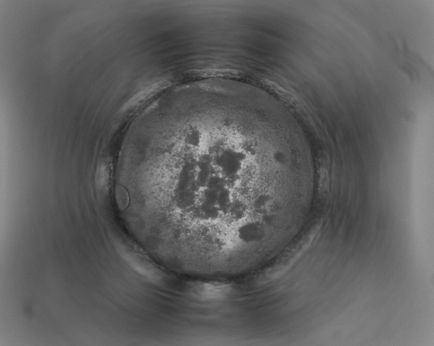 X0000113370165200910061108
