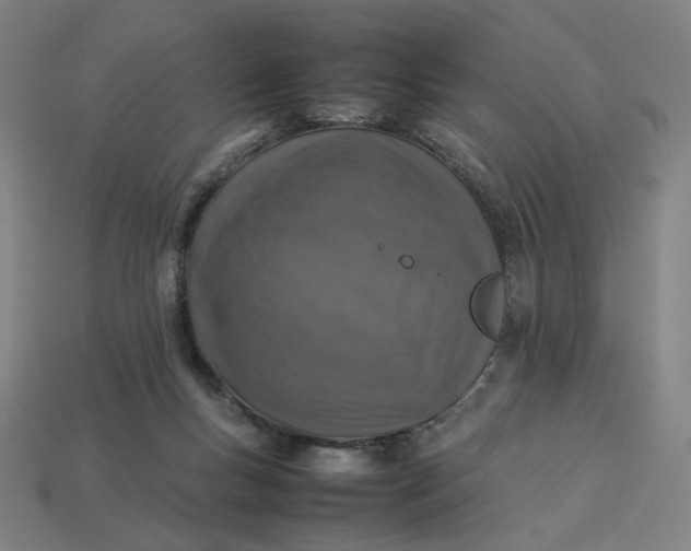 X0000113370167200910061108