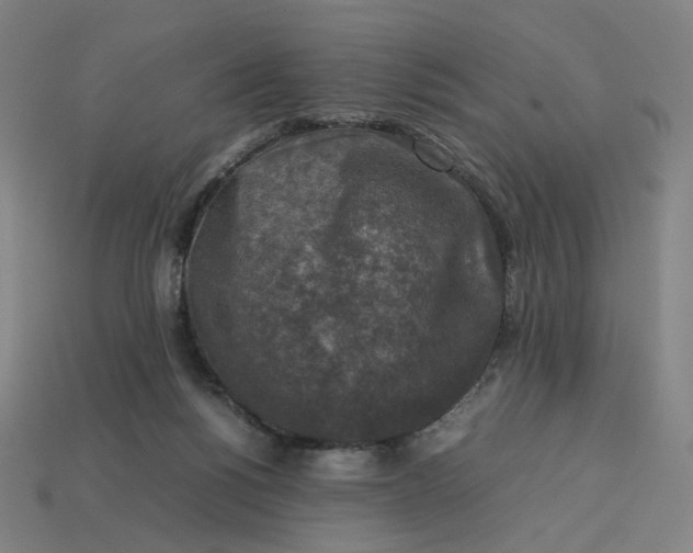 X0000113370168200910061108