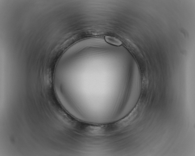 X0000113370170200910061108