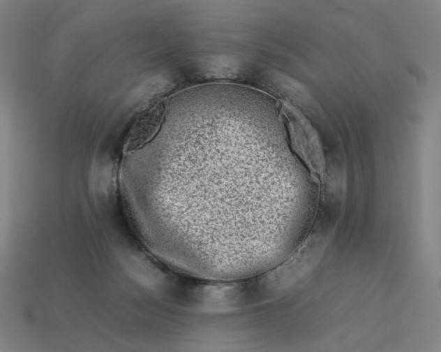X0000113370172200910061108