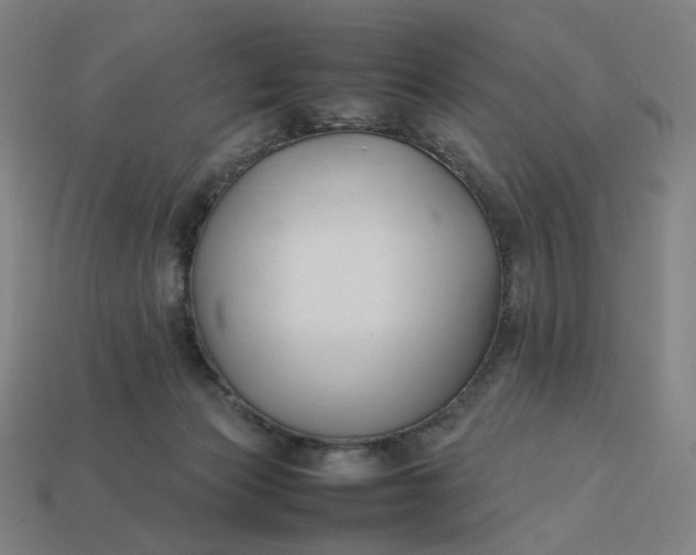 X0000113370173200910061108