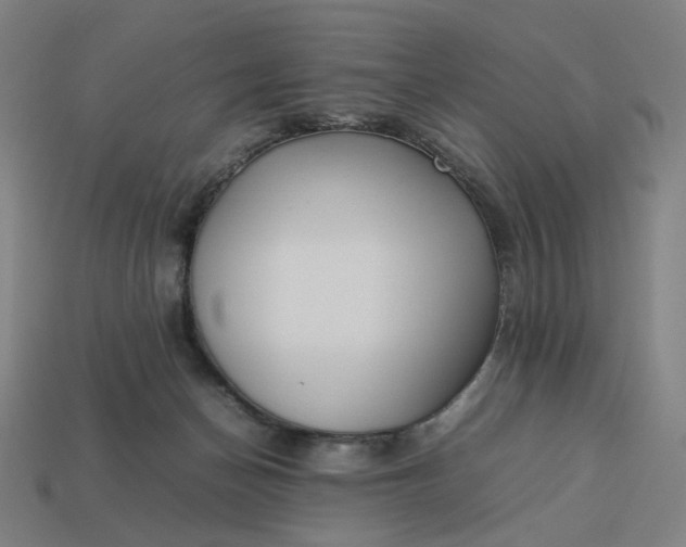 X0000113370174200910061108