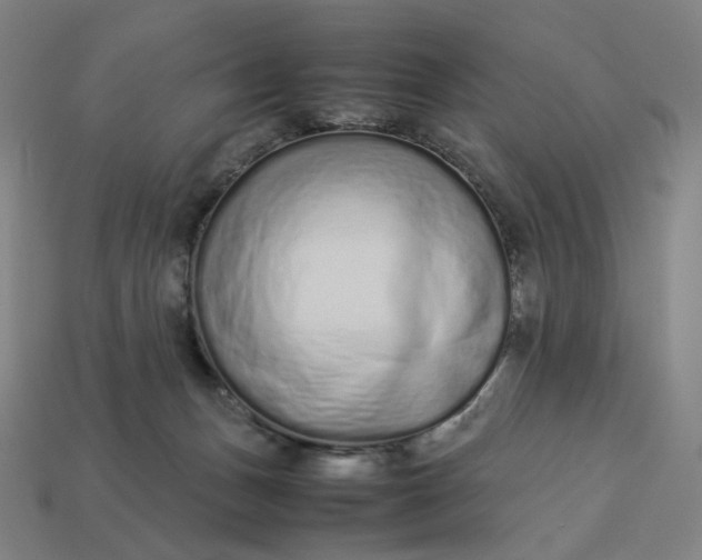 X0000113370175200910061108
