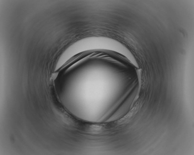 X0000113370176200910061108