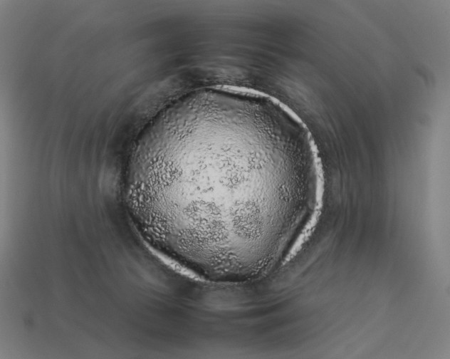 X0000113370177200910061108