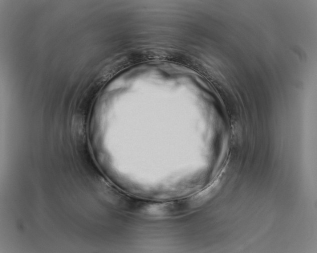 X0000113370178200910061108