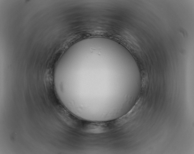 X0000113370179200910061108