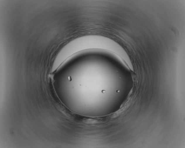 X0000113370180200910061108