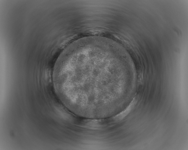X0000113370182200910061108