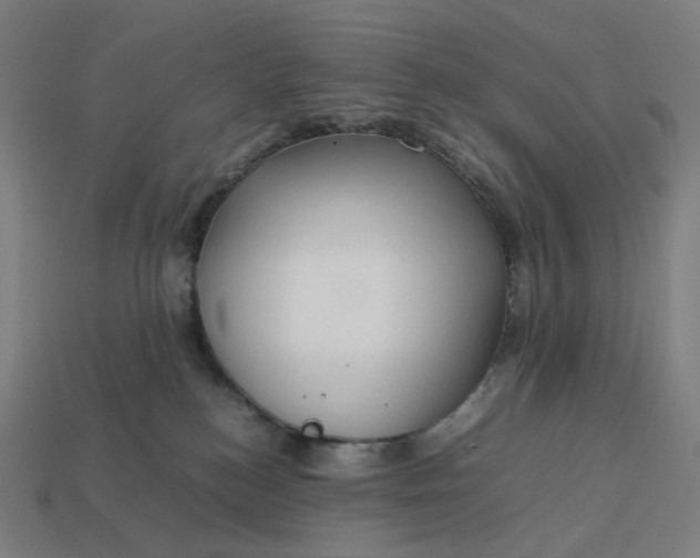 X0000113370184200910061108