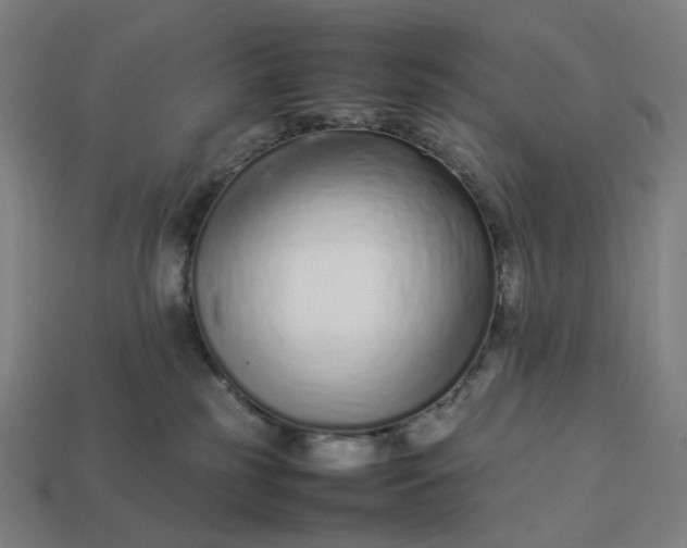 X0000113370185200910061108