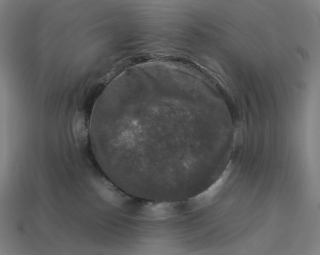X0000113370186200910061108