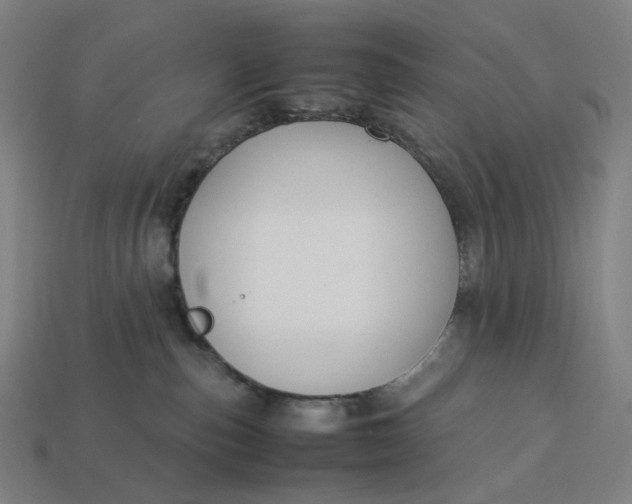 X0000113370187200910061108