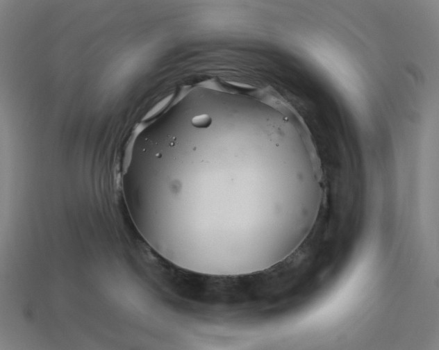 X0000113370190200910061108
