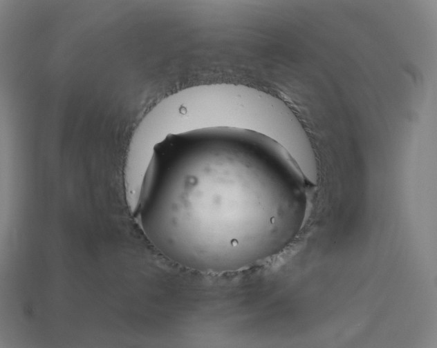 X0000113370192200910061108