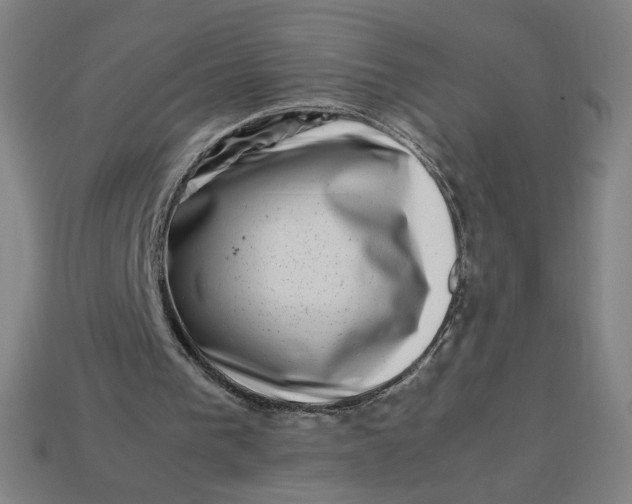 X0000113370193200910061107