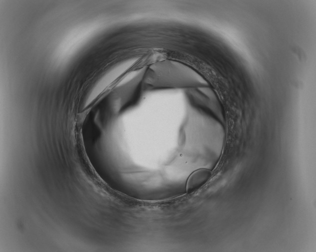 X0000113370194200910061107