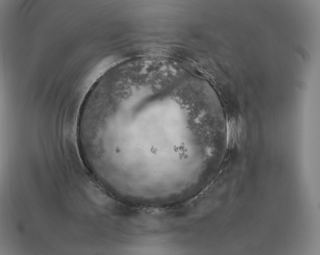 X0000113370195200910061107