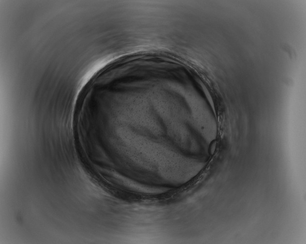 X0000113370196200910061107