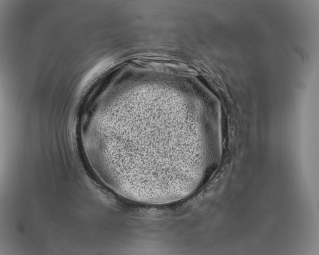 X0000113370197200910061107