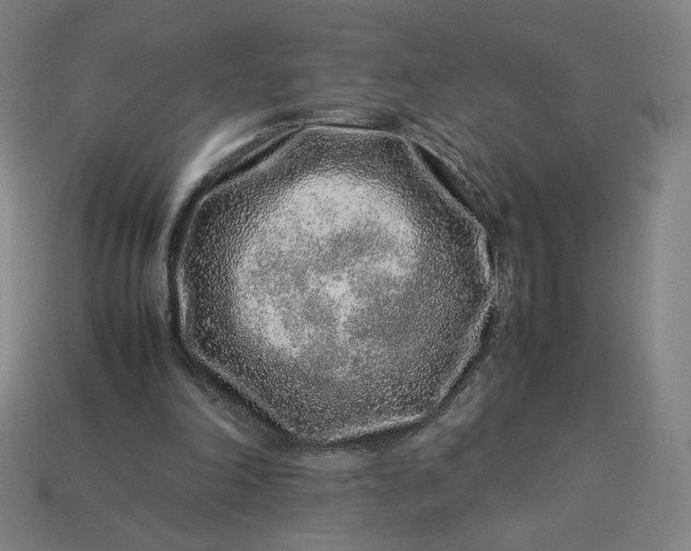 X0000113370198200910061107