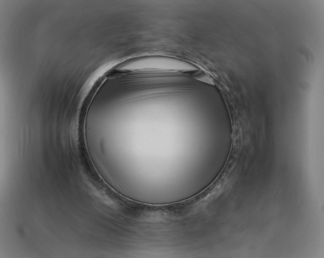 X0000113370200200910061107