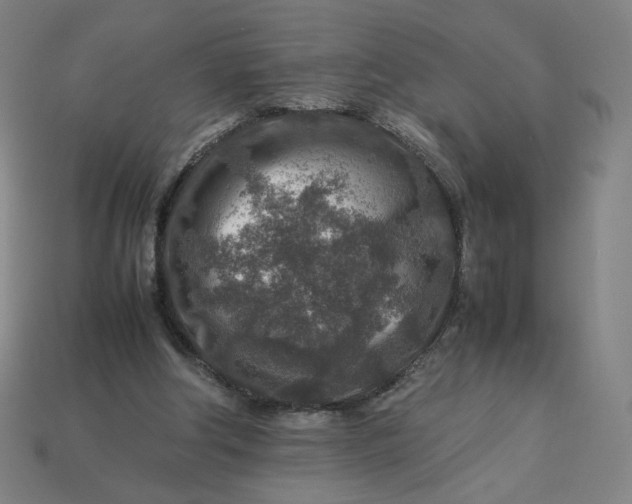 X0000113370202200910061107