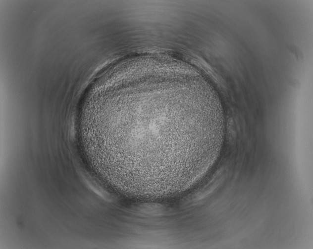 X0000113370203200910061107