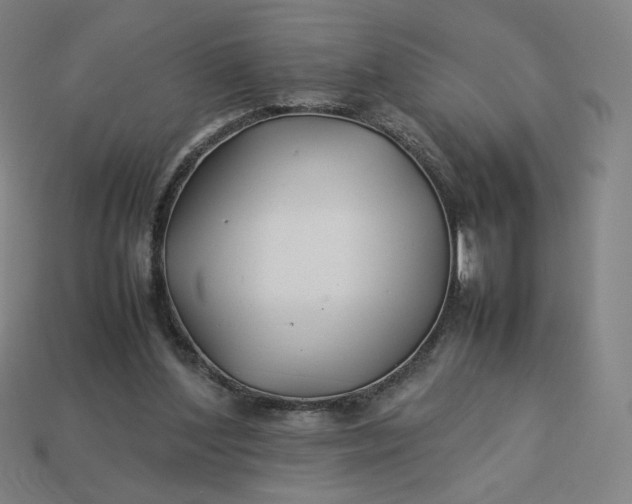 X0000113370204200910061107
