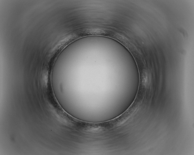 X0000113370206200910061107