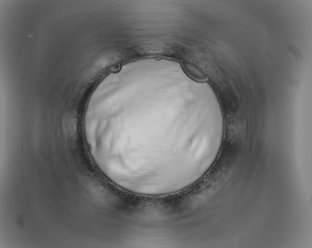 X0000113370207200910061107