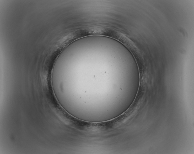 X0000113370209200910061107
