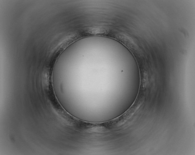 X0000113370210200910061107