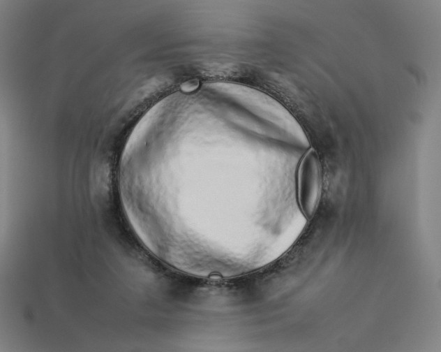 X0000113370211200910061107
