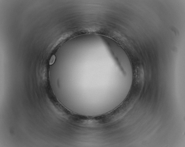 X0000113370212200910061107