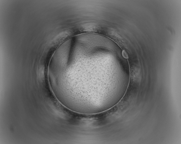 X0000113370213200910061107