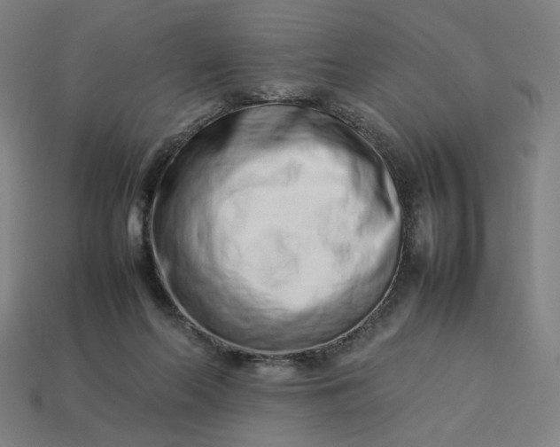 X0000113370214200910061107