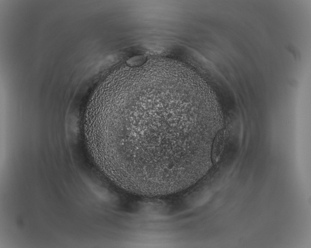 X0000113370215200910061107