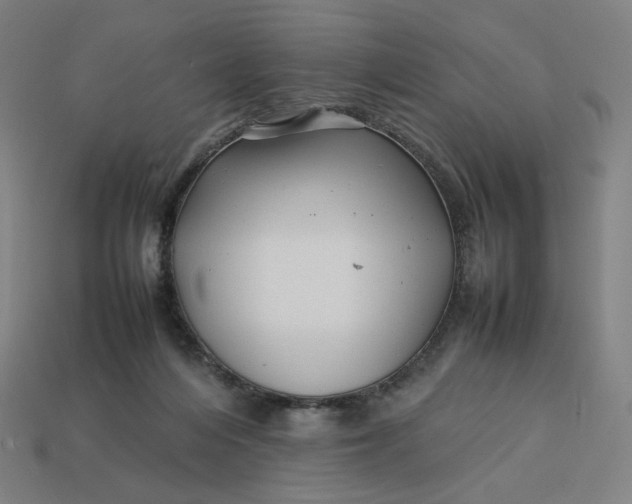 X0000113370216200910061107