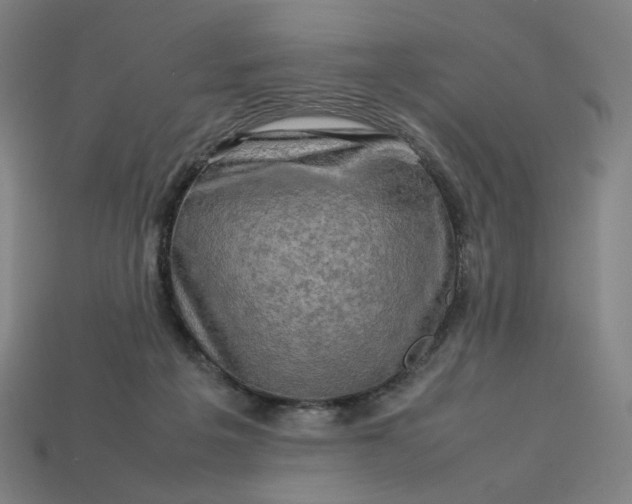 X0000113370217200910061107