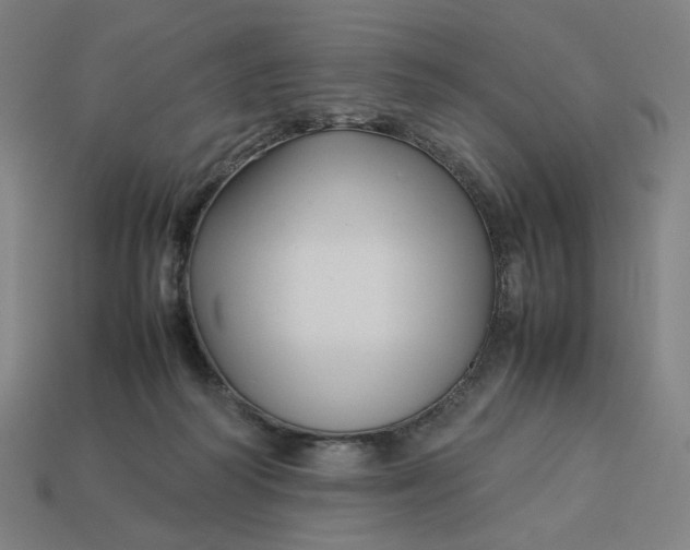X0000113370218200910061107