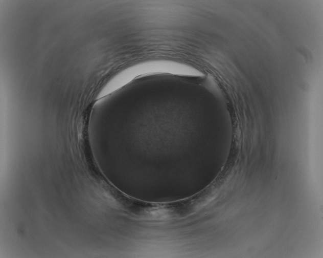 X0000113370219200910061107
