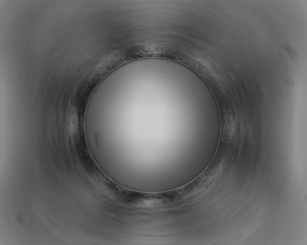 X0000113370220200910061107
