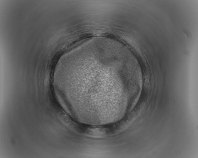 X0000113370221200910061107
