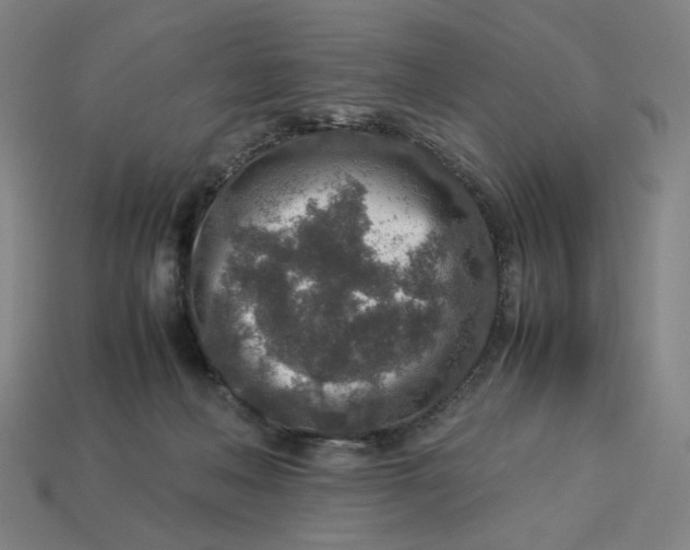X0000113370222200910061107
