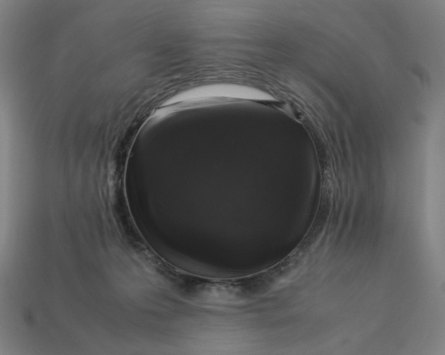 X0000113370223200910061107